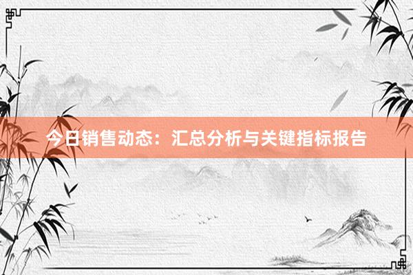 今日销售动态：汇总分析与关键指标报告